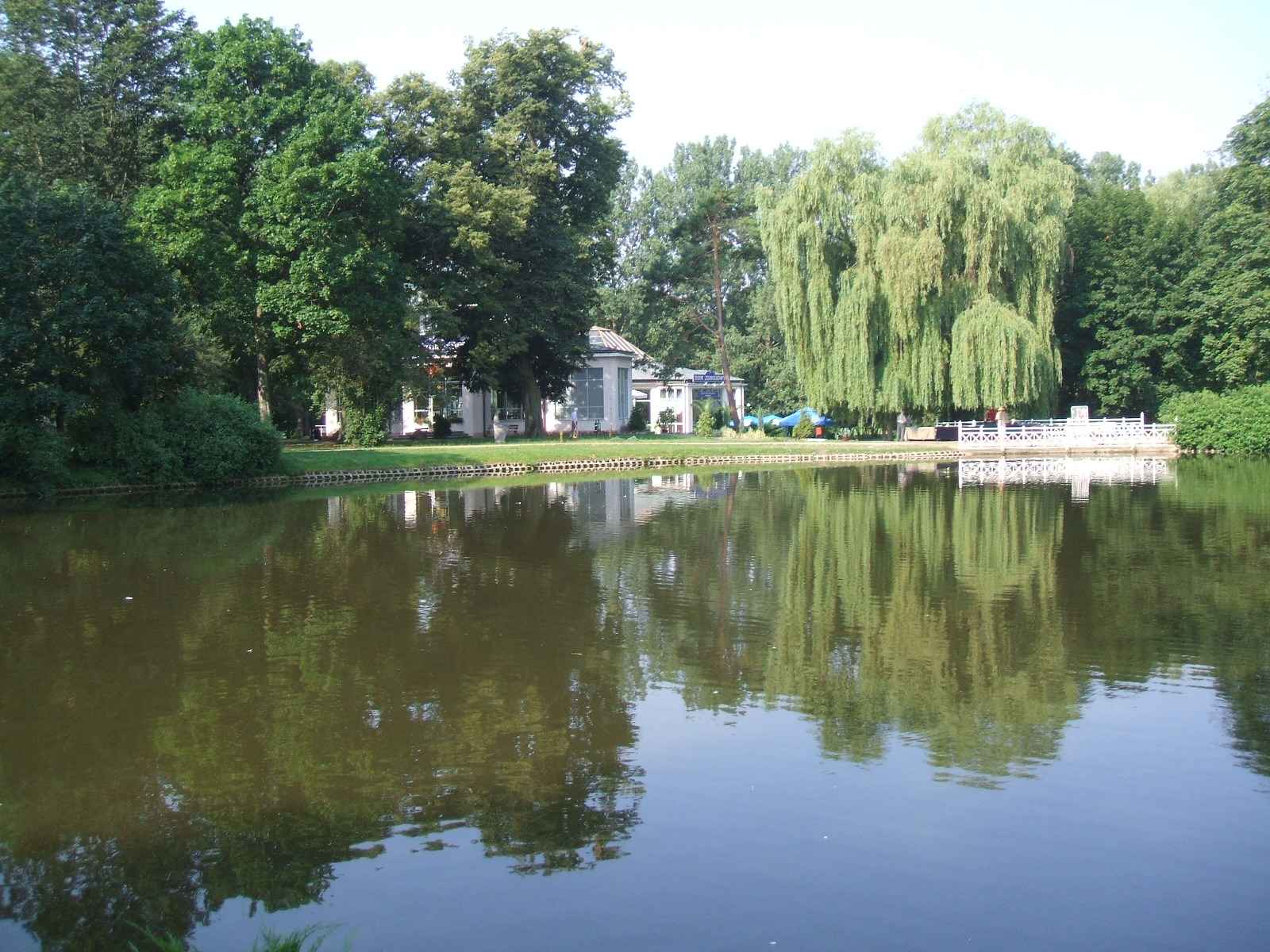 Naleczow
